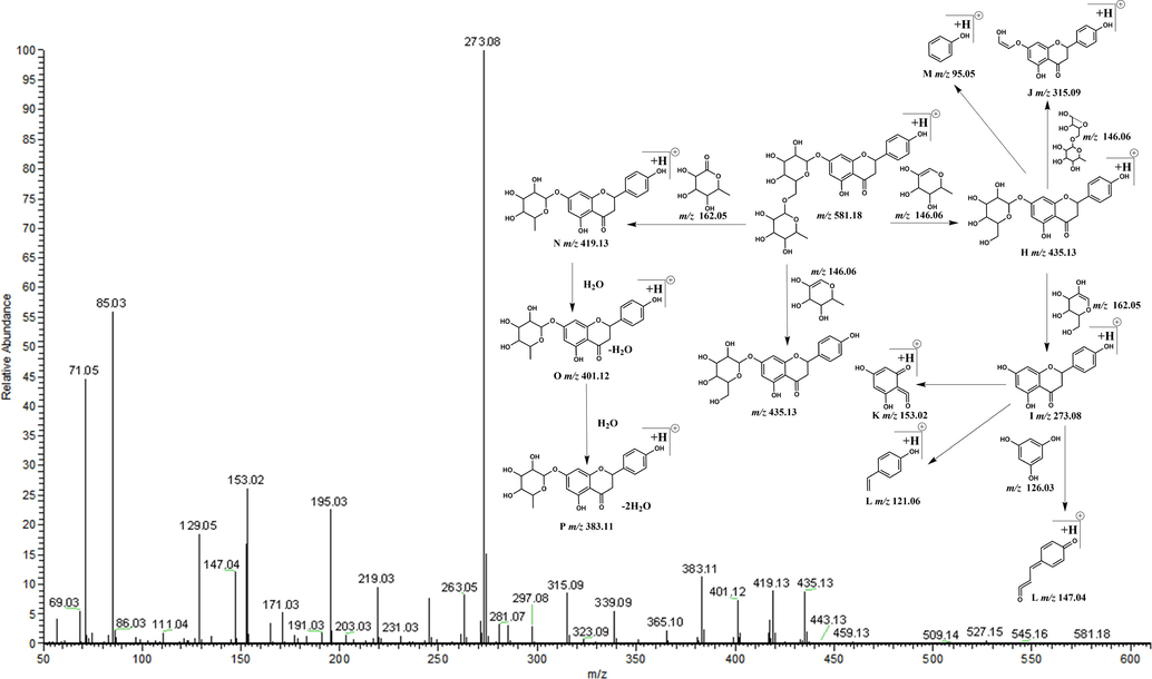 Secondary mass spectrum and cleavage rule in positive mode.