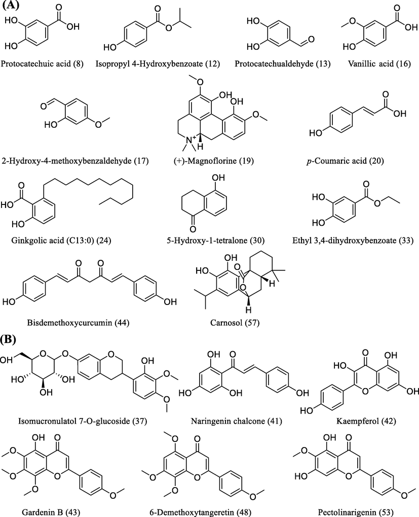 Twelve identified phenolics (A) and six identified flavonoids (B) in WE and EE.