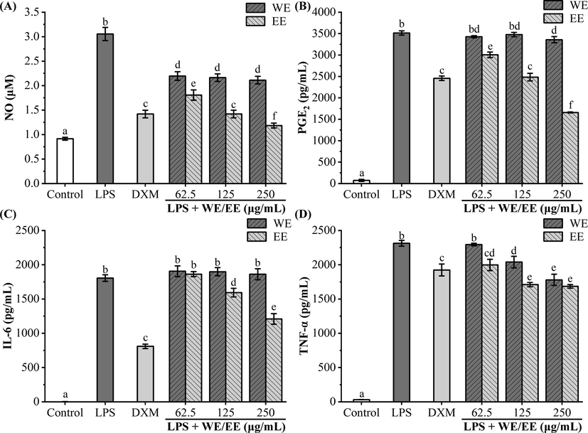 Effects of R. beesianus rhizome WE and EE on LPS-stimulated excessive secretion of pro-inflammatory mediators and cytokines in RAW264.7 cells. (A, B) Griess reaction and ELISA kit tested the release of pro-inflammatory mediators NO (A) and PGE2 (B), respectively. (C, D) ELISA kits detected the accumulation of pro-inflammatory cytokines IL-6 (C) and TNF-α (D) in the cell supernatants. Data were represented as mean ± SD, and significant differences were indicated by different letters above bars (p < 0.05).