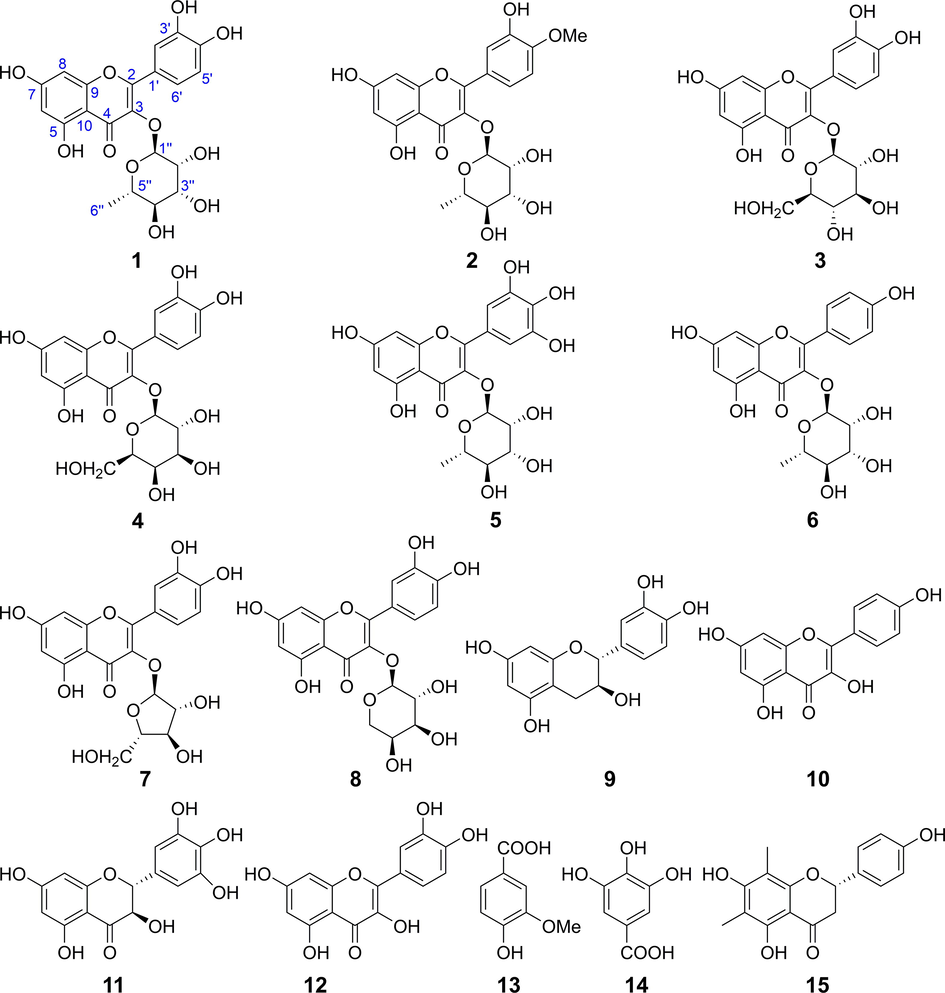 Chemical structures of compounds isolated from EtOAc extract (R-EE).