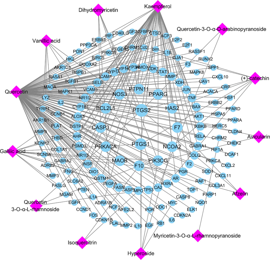 Potential active ingredient-target network of R-EE acting on AIH-related targets.