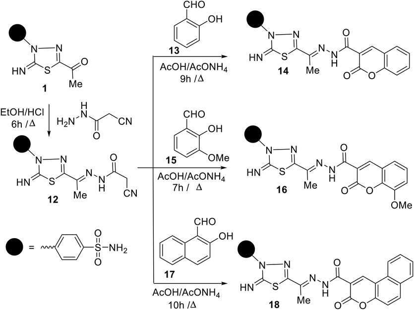Synthesis of thiadiazole sulfonamides based coumarin fragments (14, 16 and 18).