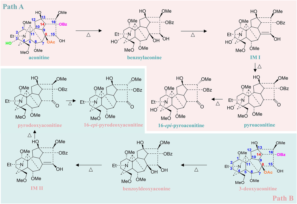 Proposed mechanism for the transformation of ester type alkaloids in TBC during stir-fried with Zanba.