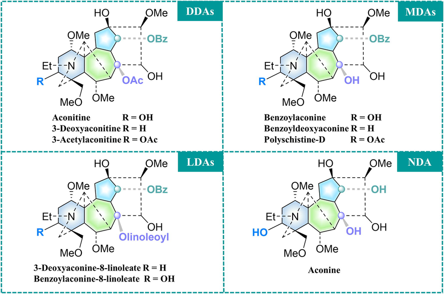 Main C19-diterpenoid alkaloids of TBC.