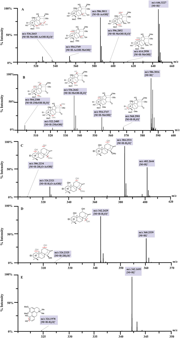 MS/MS spectra of five representative identified compounds (A, compound 39 aconitine; B, compound 32 16-epi-pyroaconitine; C, compound 14 lucidusculine; D, compound 4 12-epi-napelling, E, compound 7 fuzitine).