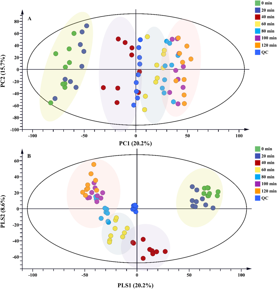 (A) PCA and (B) PLS-DA score plots of raw and Zanba stir-fried TBC for different time points.