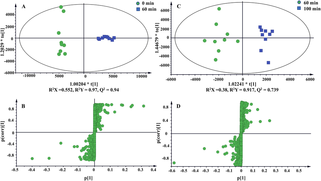 OPLS-DA score plots and S-plots based on raw and processed TBC stir-fried with Zanba for 60 min (A and B), TBC stir-fried with Zanba for 60 min and 100 min (C and D).