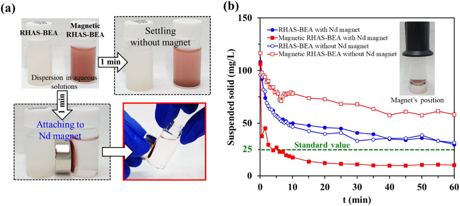 (a) Separation of RHAS-BEA and magnetic RHAS-BEA suspension in aqueous solutions by settling the adsorbents without magnet and attaching to Nd magnet for 1 min, and (b) separability of the adsorbents by evaluating SS in the adsorbent suspension (100 mg/L) placing with Nd magnet (solid circle and square markers for RHAS-BEA and magnetic RHAS-BEA, respectively) and without Nd magnet (transparent circle and square markers for RHAS-BEA and magnetic RHAS-BEA, respectively).