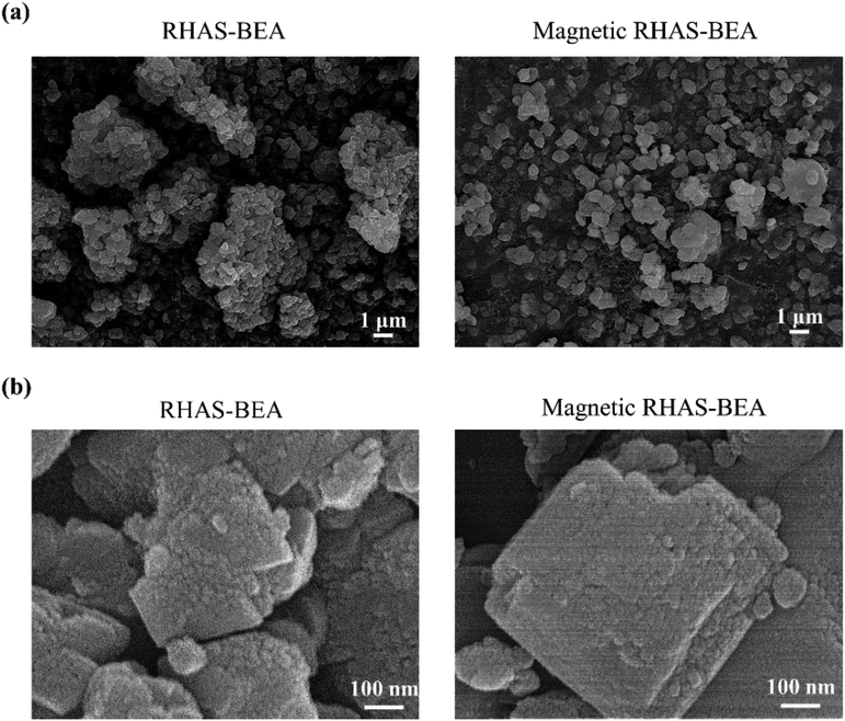 FE-SEM photomicrograph of RHAS-BEA and magnetic RHAS-BEA samples observed at × 5000 magnification (a) and × 100000 magnification (b).