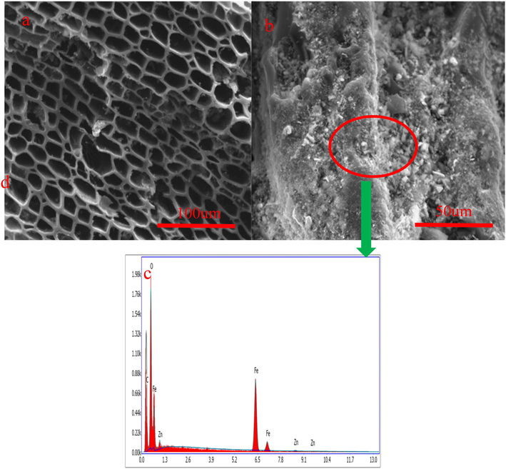 SEM (a) and EDS (b) images of biochar.