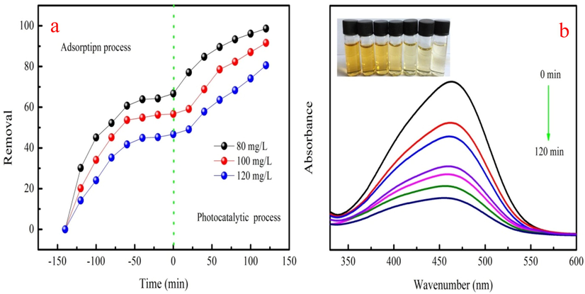 Adsorption and photodegradation process of the biochar (a) and UV– visible absorption spectra of biochar at the irriadtion time(b).