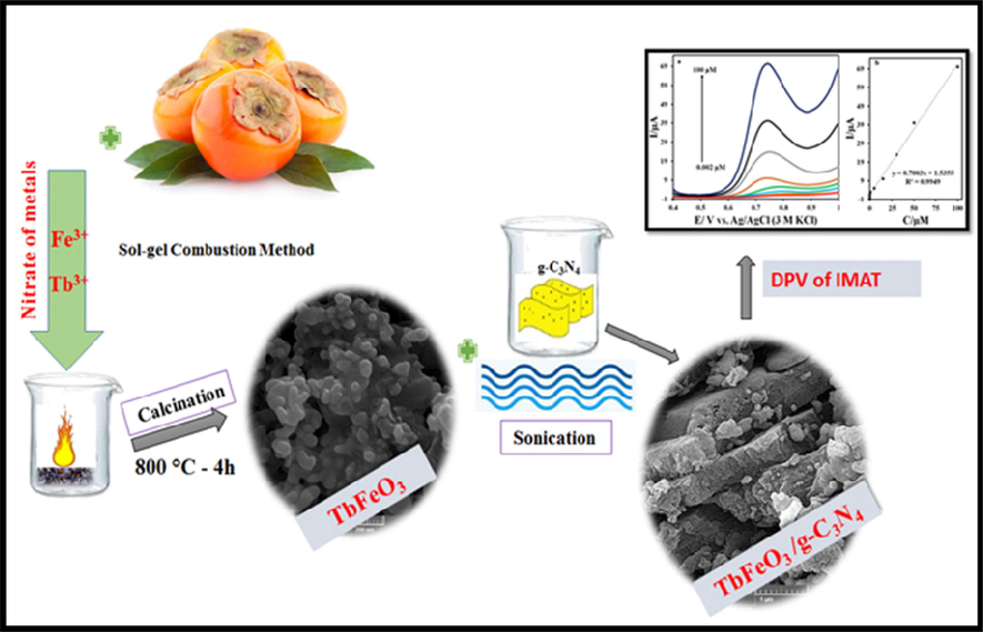 The formation process of the TbFeO3/g-C3N4 nanocomposites by sol–gel auto-combustion method using the diospyros kaki. L extract.