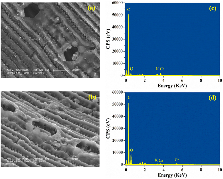 SEM images and EDS spectra of pine needle biochar before (a, c) and after Cr(VI) removal (b, d).