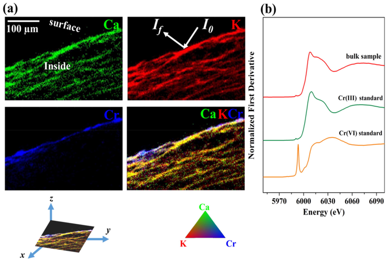 (a) Confocal μ-XRF mapping of Ca (green), K (red), and Cr (blue) distribution on the reacted-biochar and (b) Cr K-edge XANES spectra of Cr-loaded biochar.