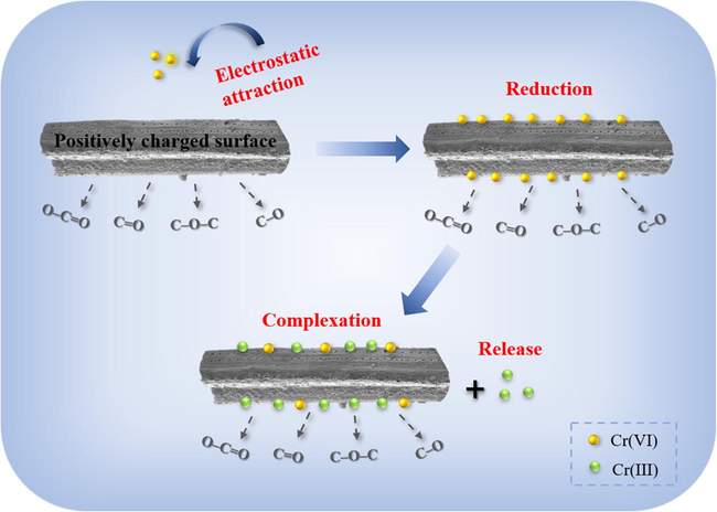 The proposed removal mechanisms of Cr(VI) by pine needle biochar.