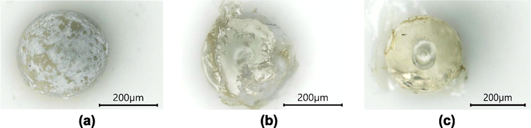 Cross-section image of (a) ZnOnano-com-[chi-SiG], (b) ZnOnano-synth-[chi-SiG], and (c) chi-SiG through binocular microscope stereo with 15 × magnification.