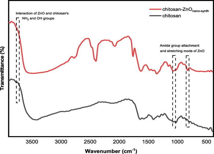 FTIR spectra of chitosan and chitosan-ZnOnano-synth.