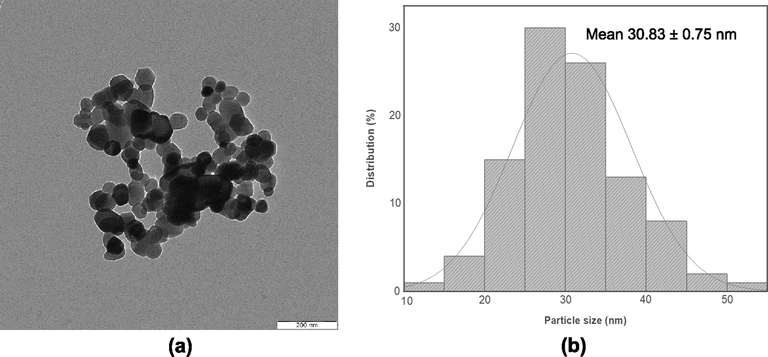 TEM analysis of (a) ZnOnano-com from ZnOnano-com-[chi-SiG] (scale bar 200 nm), and (b) particle size distribution.