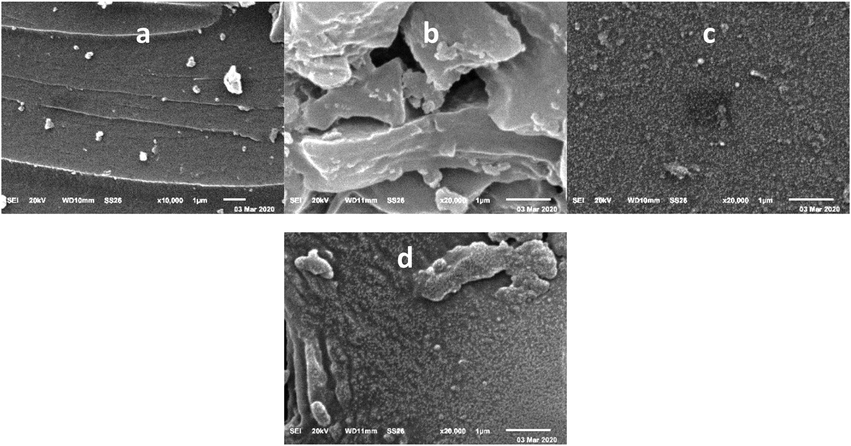 SEM Images for (a) PMMA, (b) PMMA/ST copolymer, (c) Mn(III)porphyrin complex /PMMA, and (d) Mn(III)porphyrin complex /PMMA/ST copolymer.