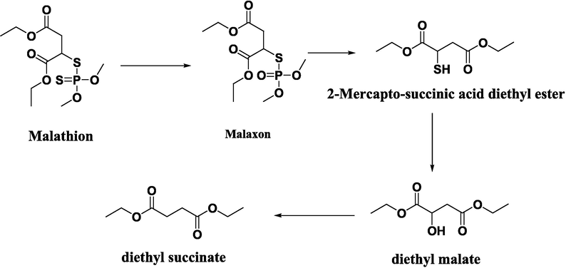 The outline scheme depicts the potential pathways of malathion degradation.