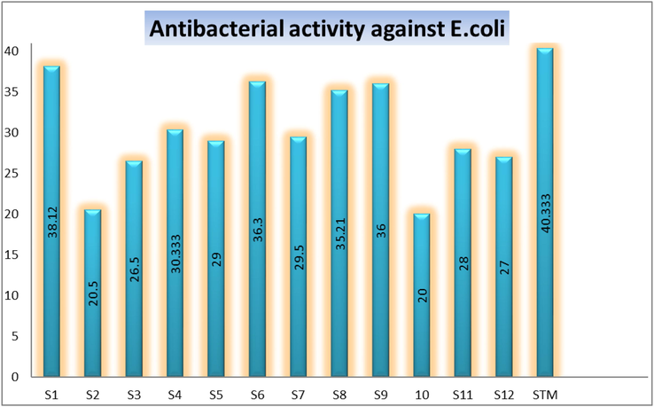 Represent the anti-bacterial activity of analogs along with streptomycin (STM) a standard drug against E. coli specie.