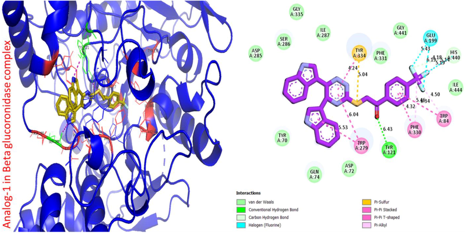 Protein ligand interaction (PLI) of analog-1 in beta-glucuronidase complex.