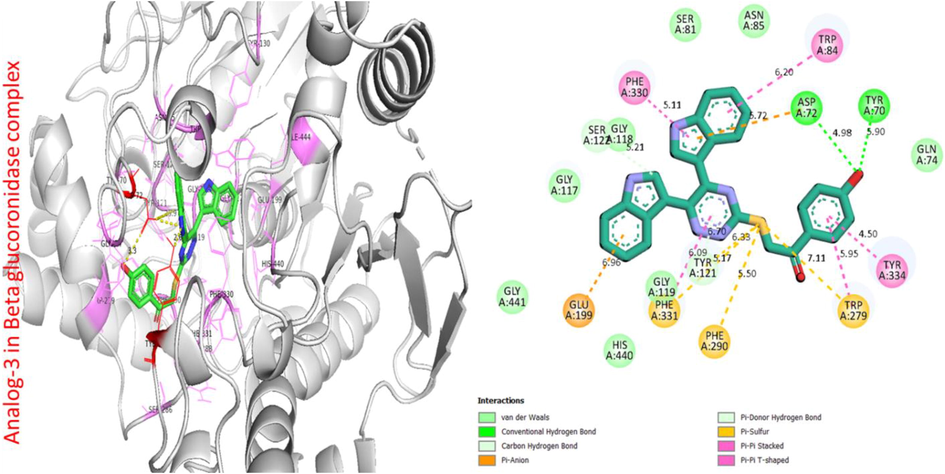 Protein ligand interaction (PLI) of analog-3 in beta-glucuronidase complex.