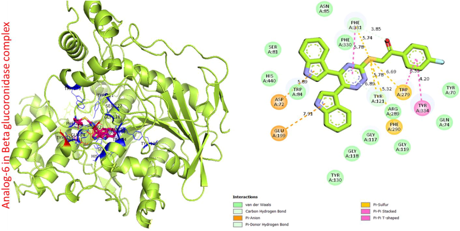 Protein ligand interaction (PLI) of analog-6 in beta-glucuronidase complex.