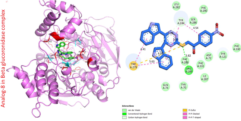 Protein ligand interaction (PLI) of analog-8 in beta-glucuronidase complex.