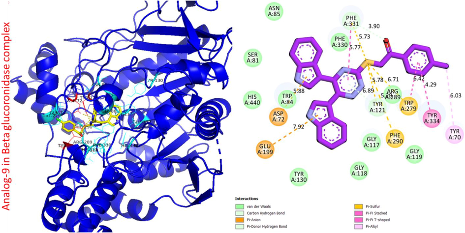 Protein ligand interaction (PLI) of analog-9 in beta-glucuronidase complex.