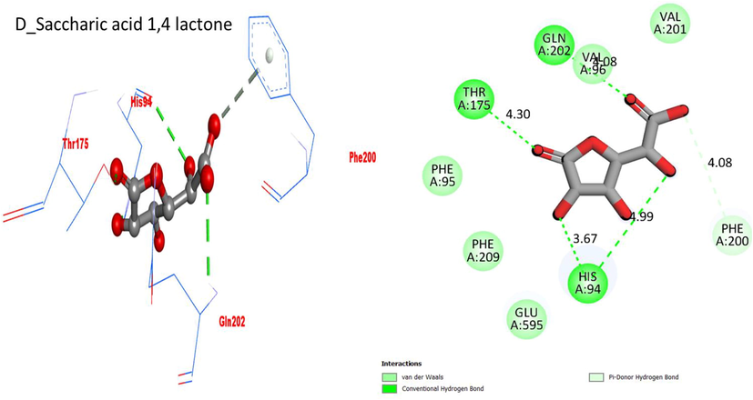 Protein ligand interaction (PLI) D_saccharic acid 1,4 lactone in beta-glucuronidase complex.