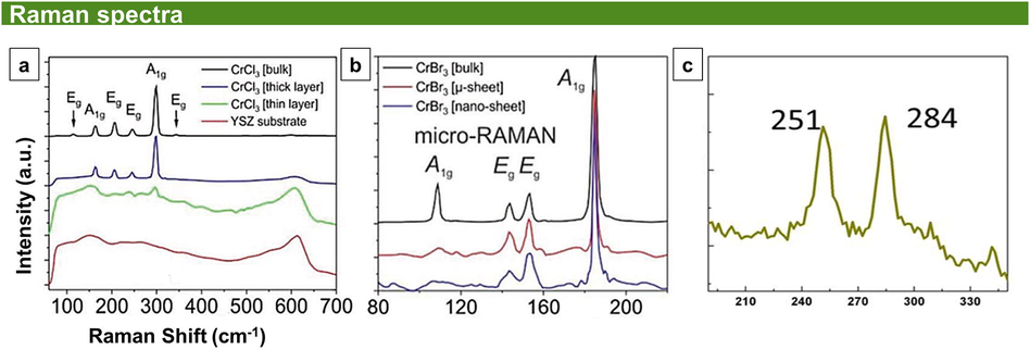 (a) Micro-Raman measurement of bulk CrCl3 (black), CrCl3 nanosheets (thick layer, blue), CrCl3 nanosheets (thin layer, green), and of the pure YSZ substrate (red). (b) Micro-Raman measurement of bulk CrBr3 (black), CrBr3 microsheet (red), and a CrBr3 nanosheet (blue). Reproduced with permission from Ref. (Grönke et al., 2019). Creative Common License, Jhon Wiley and Sons (c) Typical Raman spectrum of CrSe on SiO2/Si. Reproduced with permission from Ref. (Zhang et al., 2019). Copyright 2019, John Wiley and Sons.