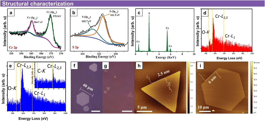(a) XPS characterization of Cr 2p and (b) S 2p of the as-grown Cr2S3. (c) EDX spectrum of the Cr2S3 nanoflake. Reproduced with permission from Ref. (Zhou et al., 2019;29(3):1805880.). Copyright 2018, John Wiley and Sons. (d, e) Local electron energy loss spectroscopy (EELS) profiles of CrO NP (red spectrum) and 2D Cr membrane (blue spectrum). Reproduced with permission from Reprinted with permission from Ref. (Ta et al., 2020) [Nano Lett. 2020, 20, 6, 4354–4361]. Copyright [2020] American Chemical Society. (f, g) Optical images of the as-synthesized Cr2S3 flakes. Scale bar: 20 μm. (h, i) AFM images and height profiles of triangular and hexagonal samples, respectively. Reproduced with permission from Ref. (Zhou et al., 2019;29(3):1805880.). Copyright 2018, John Wiley and Sons.