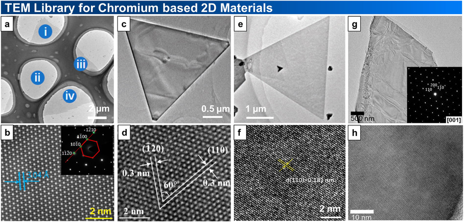 TEM characterization of Cr-based 2D materials. (a) Low-magnification image of a single-crystal Cr2S3 domain transferred on a copper grid. (b) HAADF-STEM image of the inner area of the Cr2S3 nanosheet. ‘’Reprinted (adapted) with permission from Ref. (Chu et al., 2019) [Nano Lett. 2019, 19, 3, 2154–2161]. Copyright [2019] American Chemical Society.“ (c) Low-magnification TEM image. (d) HRTEM image of a Cr2S3 nanoflake. Reproduced with permission from Ref. (Zhou et al., 2019;29(3):1805880.). Copyright 2018, John Wiley and Sons. (e) TEM image of a triangular CrSe flake. (f) HRTEM image of a CrSe crystal. Reproduced with permission from Ref. (Zhang et al., 2019). Copyright 2019, John Wiley and Sons (g) Low-magnification TEM image showing a wide area of single crystalline CrPS4. (h) HRTEM image. Reproduced with permission from Ref. (Lee et al., (CrPS 4). 2018). Creative Commons CC BY license.