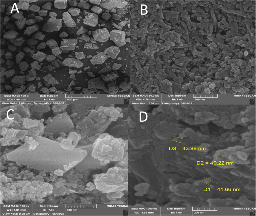 SEM images of IRMOF-3 (a), porous PSTA (b), IRMOF-3/PSTA (c), and IRMOF-3/PSTA/Cu NCs (d).