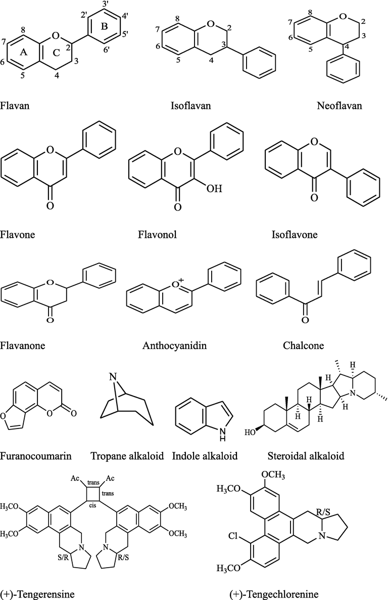 Backbone structures of important isolated and identified compounds of Indian Ficus species.