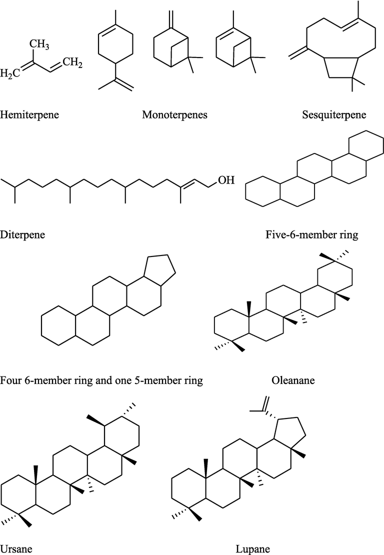 Backbone structures of important isolated and identified compounds of Indian Ficus species.