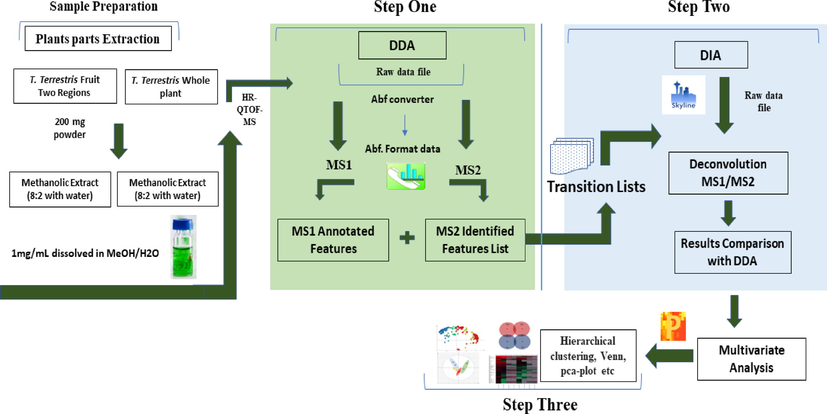 Schematic illustration of the workflow used in this study.