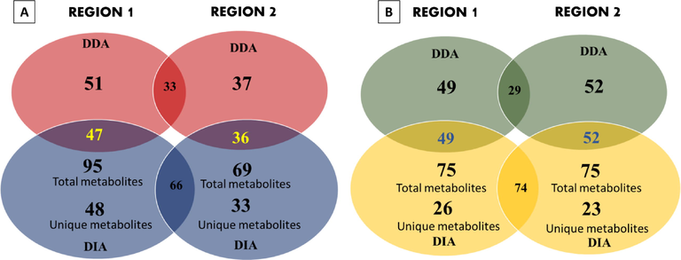 Metabolites distribution difference in T. terrestris fruit and whole plant samples from two different regions. (A) Venn diagram of T. terrestris fruit metabolites (B) Venn diagram of T. terrestris whole plant metabolites.