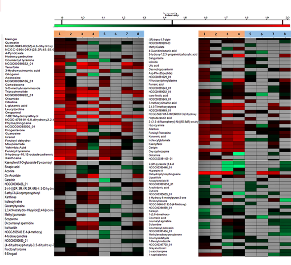 Hierarchical clustering of total of 118 metabolites identified (by using MS1 data) in each sample of plant (F* = fruit, WP* = Whole plant, R = Region) in pos. ion mode were generated using Perseus software. 1. DIA F* R1, 2. DIA F* R2, 3. DIA WP* R1, 4. DIA WP* R2, 5. DDA F* R1, 6. DDA F* R2, 7. DDA WP* R1, 8. DDA WP* R2.