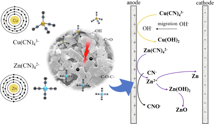 Mechanism of CB anode electrode zinc and copper cyanide complex ions electrosorption.
