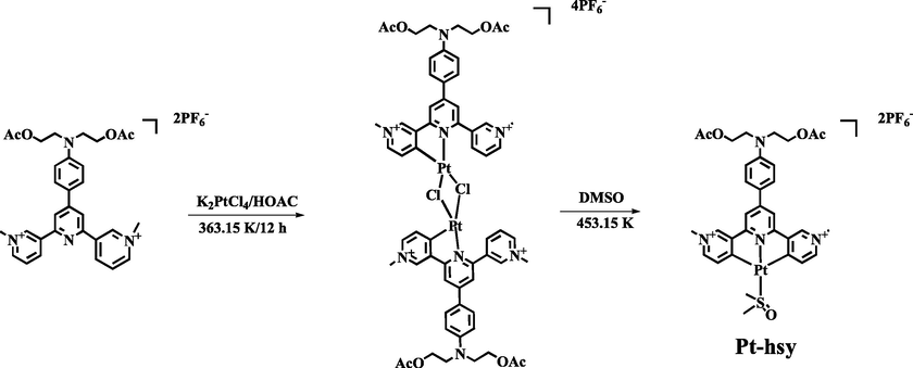 The synthesis routes of the complex Pt-hsy.