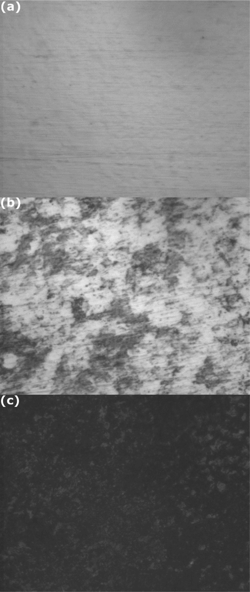 Optical images of mild steel samples at mag. x40:(a) before immersion; (b) after three hours of immersion in 0.5 M H2SO4 with 4 g L–1of NE; (c) after three hours of immersion in 0.5 M H2SO4 without NE.