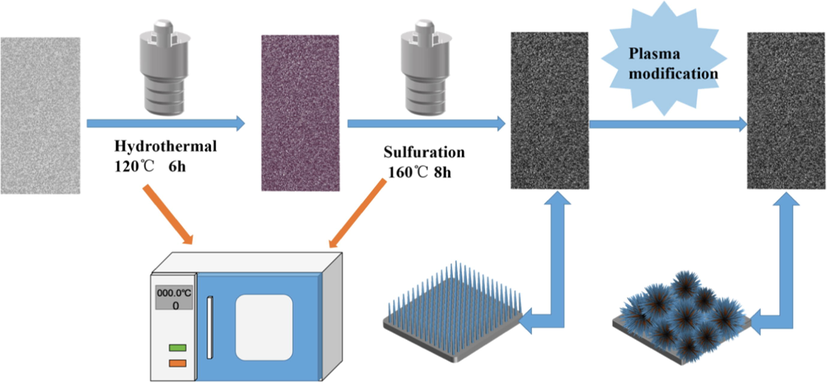 Schematic illustration of the preparation of the plasma-modified CuCo2S4/NF nanowire arrays.