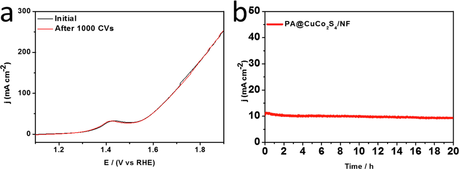 (a) OER polarization curves of PA@CuCo2S4/NF before and after 1000 CV tests. (b) Chronoamperometric plot of PA@CuCo2S4/NF material for 20 h.