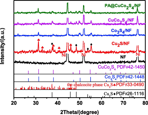 XRD patterns of NF, Cu2S/NF, Co3S4/NF, CuCo2S4/NF and PA@CuCo2S4/NF.