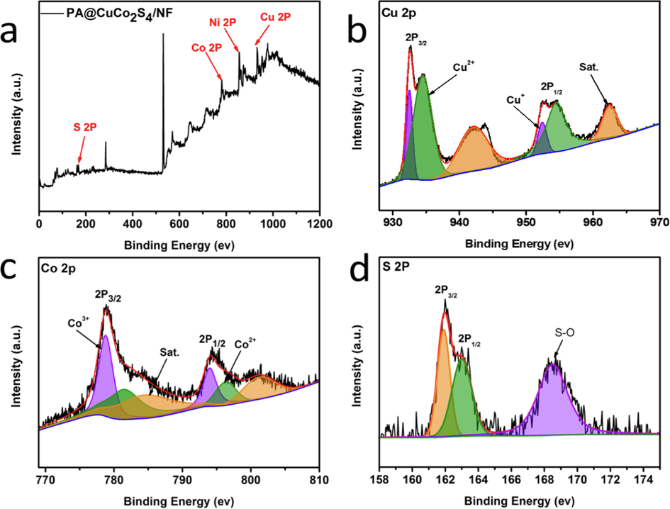 (a) XPS survey spectra of PA@CuCo2S4/NF, XPS spectra of (b) Cu 2p, (c) Co 2p, (d) S 2p regions.