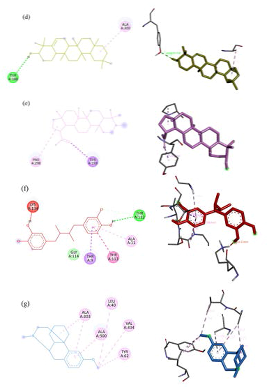 2D and 3D interaction of 2CDU binding stigmasterol (a), beta-sitosterol (b), campesterol (c), glutinol (d), lupeol (e), NDGA (f), DEX (g) 2D and 3D interaction of 2CDU binding stigmasterol (a), beta-sitosterol (b), campesterol (c), glutinol (d), lupeol (e), NDGA (f), DEX (g).