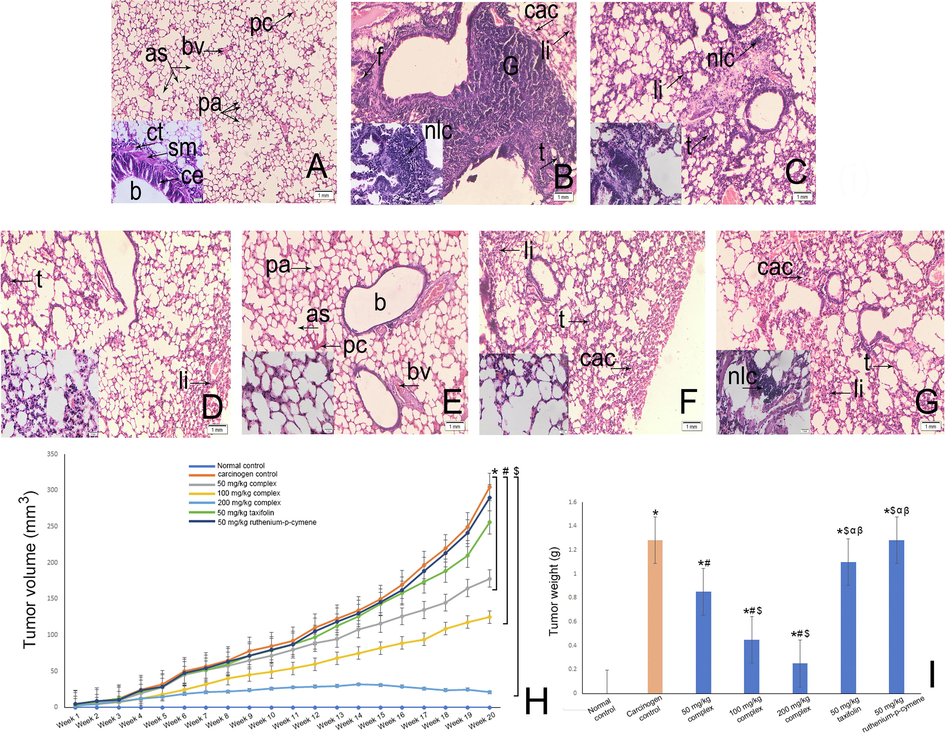 Histopathological appearance of lung at 10X [inset 40X]. (A) Normal control group showed bronchiole (b), pulmonary alveoli (pa), alveolar sac (as), blood vessels (bv), pulmonary capillary (pc), columnar epithelium (ce), smooth muscle (sm). (B) Carcinogen control group depicted thickened alveolar walls (t), congested alveolar cavity (cac), nodular lymphocytic collection (nlc), lymphocyte infiltration (li) in alveolar space, severe fibrosis (f) and formation of granuloma (g). (C) 50 mg/kg taxifolin ruthenium-p-cymene complex treated group showed thickened alveolar walls (t), nodular lymphocytic collection (nlc) and lymphocyte infiltration (li) in alveolar space. (D) 100 mg/kg taxifolin ruthenium-p-cymene complex treated group showed thickened alveolar walls (t) and lymphocyte infiltration (li) in alveolar space. (E) 200 mg/kg taxifolin ruthenium-p-cymene complex treated group restored normal morphological architecture of carcinogen induced lung tissue. (F) 50 mg/kg taxifolin treated group depicted thickened alveolar walls (t), congested alveolar cavity (cac) and lymphocyte infiltration (li) in alveolar space. (G) 50 mg/kg ruthenium-p-cymene treated group depicted thickened alveolar walls (t), congested alveolar cavity (cac), nodular lymphocytic collection (nlc) and lymphocyte infiltration (li) in alveolar space. Effect of taxifolin ruthenium-p-cymene complex on the (H) tumor volume (mm3) and (I) tumor weight (g).