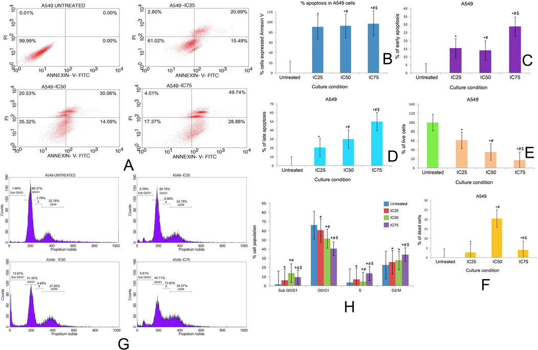 (A) Quadrangular plots representing the Annexin V/PI expression in A549 cells upon culturing in the presence and absence of taxifolin ruthenium-p-cymene complex with IC25, IC50 and IC75 concentrations. Percentage of (B) apoptosis, (C) early apoptosis, (D) late apoptosis, (E) live cells, and (F) dead cells in A549 cells at different culture conditions. (G) Distribution of cell cycle phases in A549 cells upon culturing in the presence and absence of taxifolin ruthenium-p-cymene complex with IC25, IC50 and IC75 concentrations (H) Quantitative analysis of cell cycle phase distribution in A549 cells. * represented p < 0.05 as compared to untreated cells. Similarly, # represented p < 0.05 as compared to IC25, $ represented p < 0.05 as compared to IC50. Data represented as means ± SEM from different experiments in triplicate. The results were compared using ANOVA, followed by a Tukey’s multiple comparison post-hoc analysis.